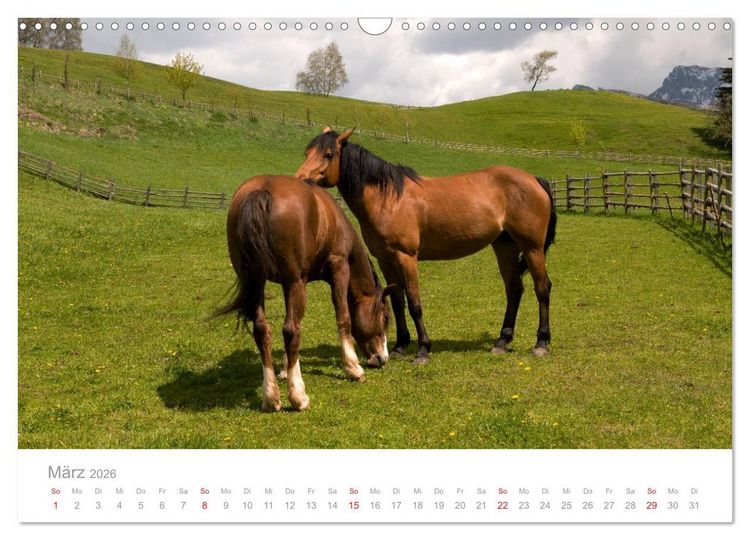 Produktbild: Pferde - Hobby und Leidenschaft (Wandkalender 2026 DIN A3 quer), CALVENDO Monatskalender