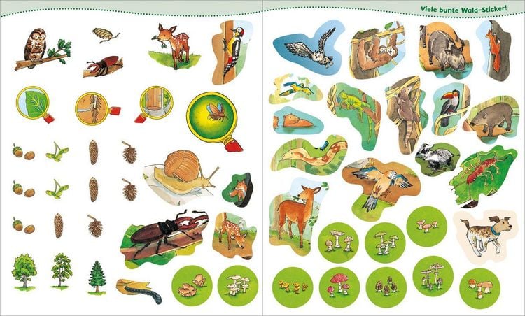 Produktbild: WAS IST WAS Junior Mitmach-Heft Wald
