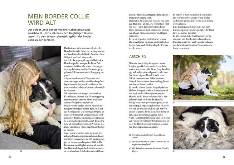 Produktbild: Border Collie