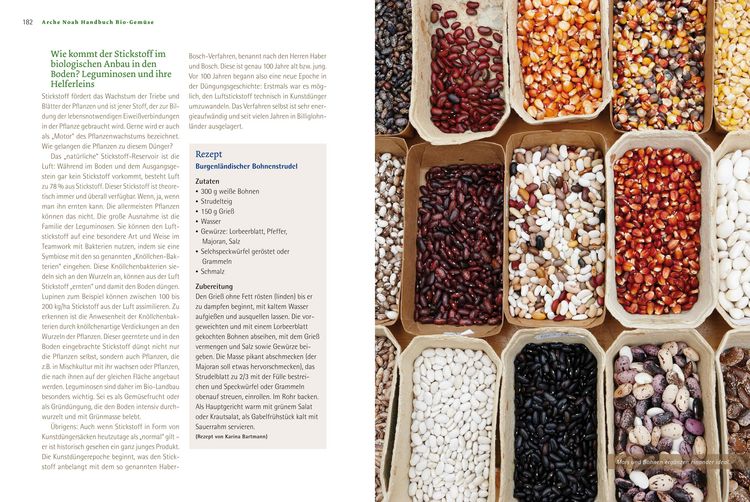 Produktbild: Handbuch Bio-Gem&uuml;se
