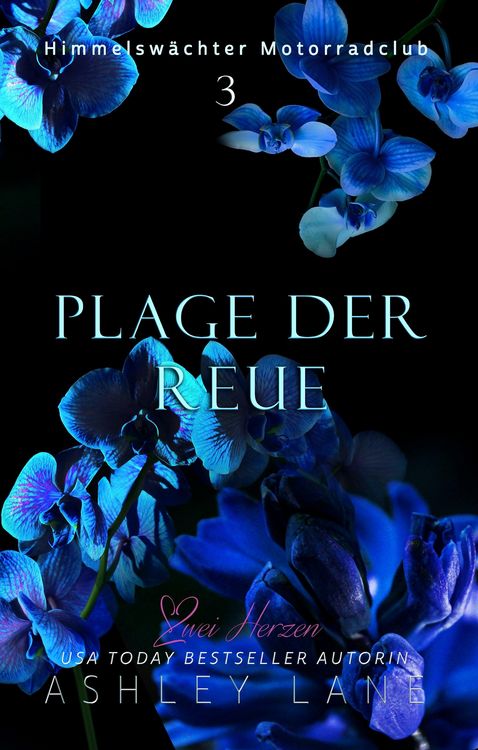 Produktbild: Plage der Reue