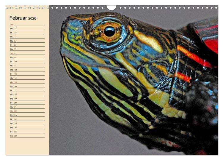 Produktbild: Reptilien. Schlangen, Echsen und Co. (Wandkalender 2026 DIN A3 quer), CALVENDO Monatskalender