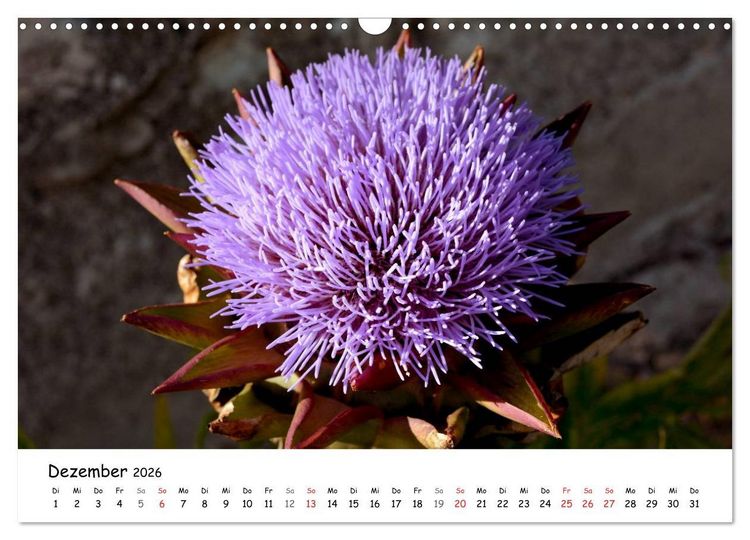 Produktbild: Die Marken, Impressionen aus dem unbekannten Italien (Wandkalender 2026 DIN A3 quer), CALVENDO Monatskalender