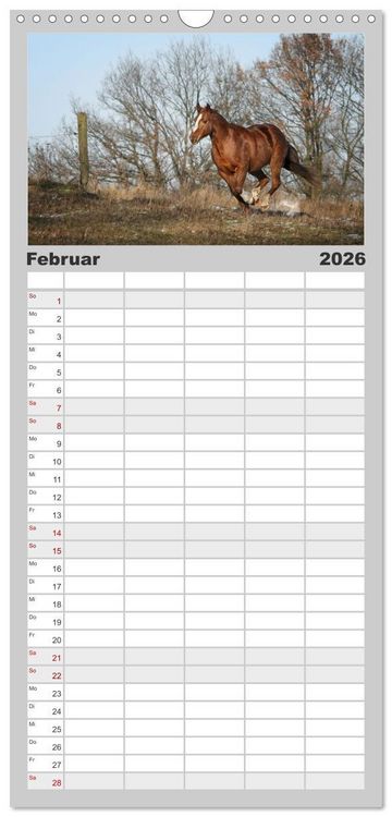 Produktbild: Familienplaner 2026 - Faszination Westernpferde mit 5 Spalten (Wandkalender, 21 x 45 cm) CALVENDO