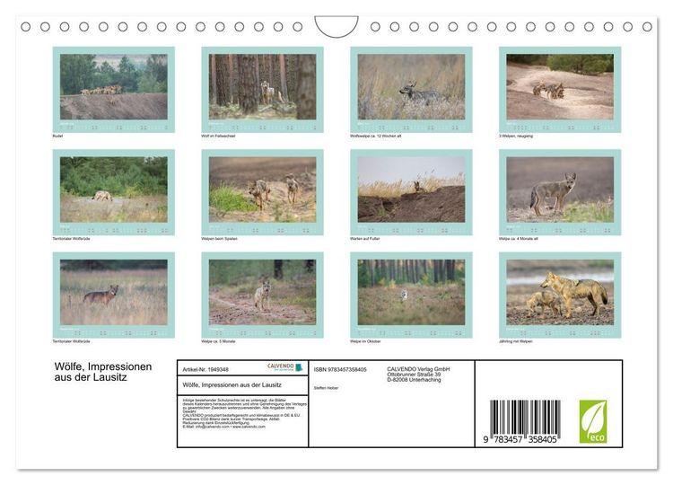 Produktbild: W&ouml;lfe, Impressionen aus der Lausitz (Wandkalender 2026 DIN A4 quer), CALVENDO Monatskalender