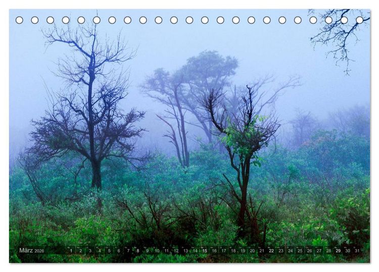 Produktbild: Namibia - Die Landschaft (Tischkalender 2026 DIN A5 quer), CALVENDO Monatskalender