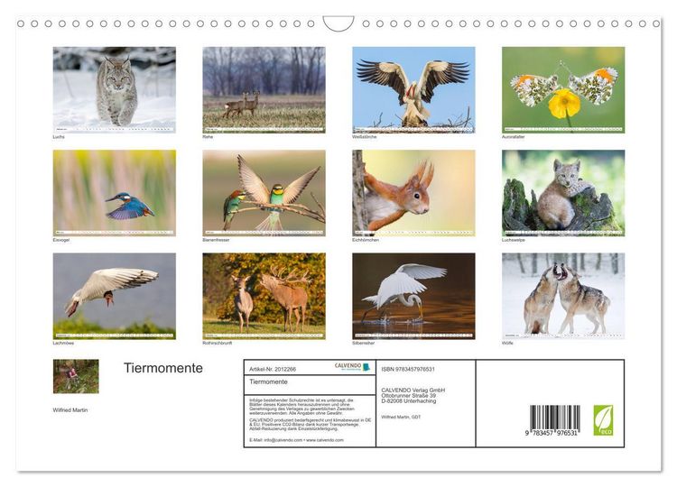 Produktbild: Tiermomente (Wandkalender 2026 DIN A3 quer), CALVENDO Monatskalender