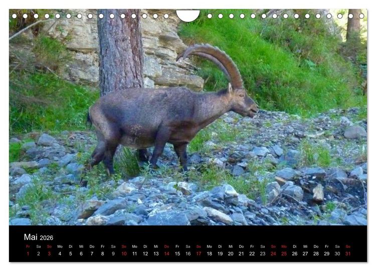 Produktbild: Die Welt der Berge (Wandkalender 2026 DIN A4 quer), CALVENDO Monatskalender