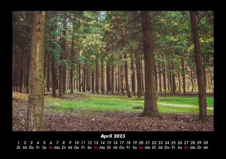 Produktbild: B&auml;ume 2025 Fotokalender DIN A3