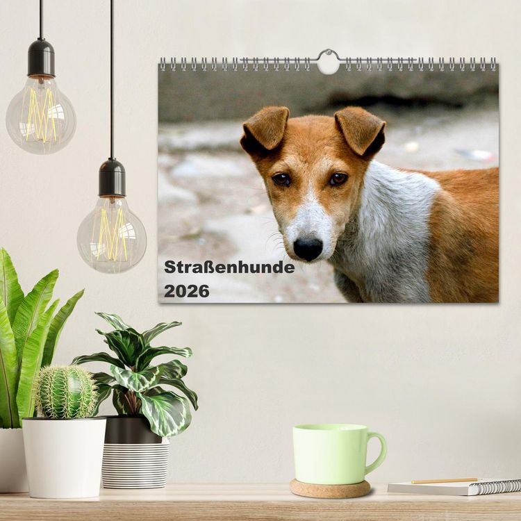 Produktbild: Stra&szlig;enhunde (Wandkalender 2026 DIN A4 quer), CALVENDO Monatskalender
