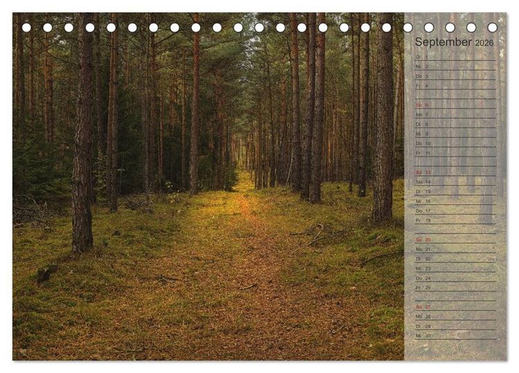 Produktbild: Unser Wald - Magische Sichten in norddeutsche W&auml;lder / Geburtstagskalender (Tischkalender 2026 DIN A5 quer), CALVENDO Monatskalender