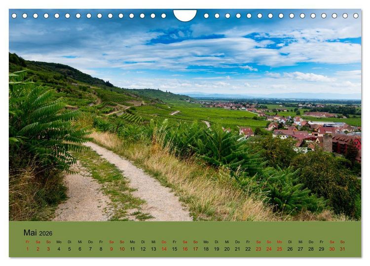 Produktbild: Die Weinsta&szlig;e im Elsass (Wandkalender 2026 DIN A4 quer), CALVENDO Monatskalender