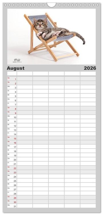 Produktbild: Familienplaner 2026 - Zauberhafte K&auml;tzchen mit 5 Spalten (Wandkalender, 21 x 45 cm) CALVENDO