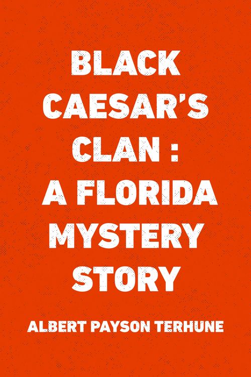 Produktbild: Black Caesar's Clan : A Florida Mystery Story