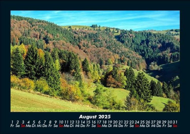 Produktbild: B&auml;ume 2025 Fotokalender DIN A5
