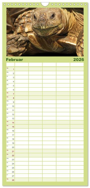 Produktbild: Familienplaner 2026 - Landschildkr&ouml;ten mit 5 Spalten (Wandkalender, 21 x 45 cm) CALVENDO