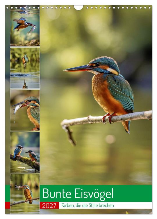 Produktbild: Bunte Eisv&ouml;gel (Wandkalender 2027 DIN A3 hoch), CALVENDO Monatskalender