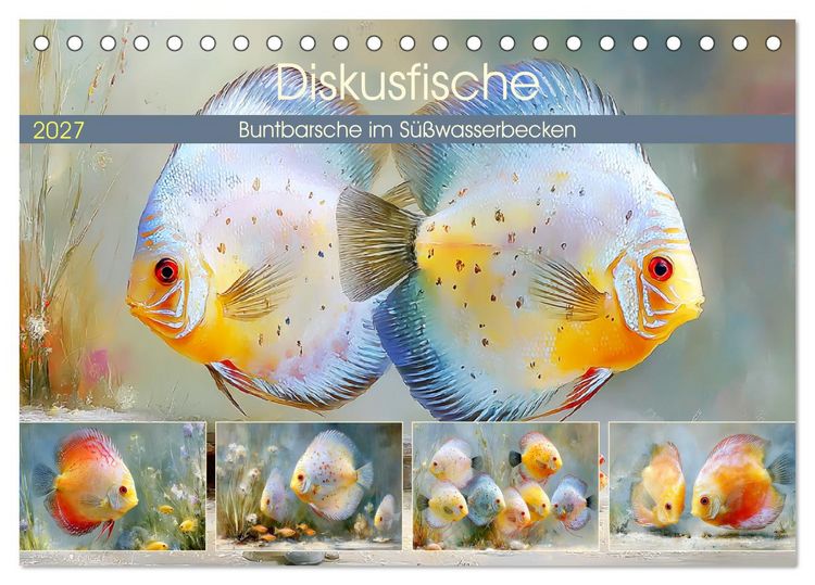 Produktbild: Diskusfische. Buntbarsche im S&uuml;&szlig;wasserbecken (Tischkalender 2027 DIN A5 quer), CALVENDO Monatskalender