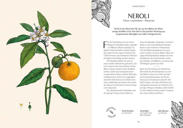 Produktbild: Duft