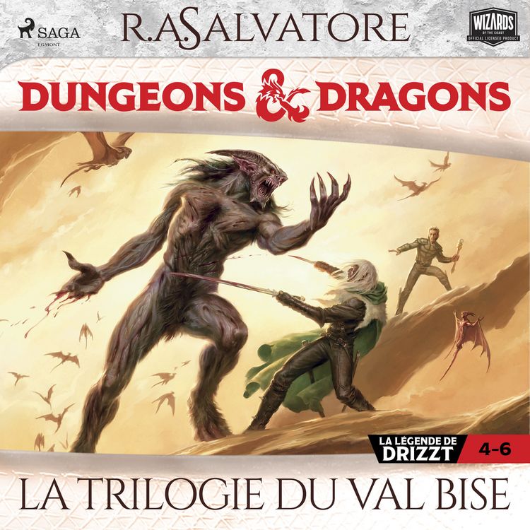Produktbild: Compilation Dungeons & Dragons 4&ndash;6&nbsp;: La Trilogie du Val Bise