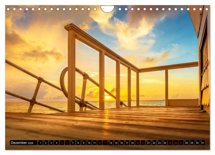 Produktbild: Florida. Der Sonne entgegen. (Wandkalender 2026 DIN A4 quer), CALVENDO Monatskalender