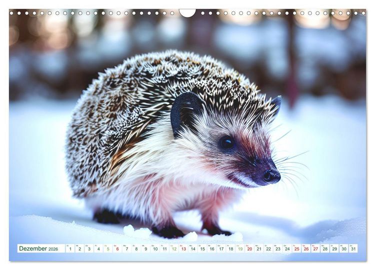 Produktbild: Niedliche Igel (Wandkalender 2026 DIN A3 quer), CALVENDO Monatskalender