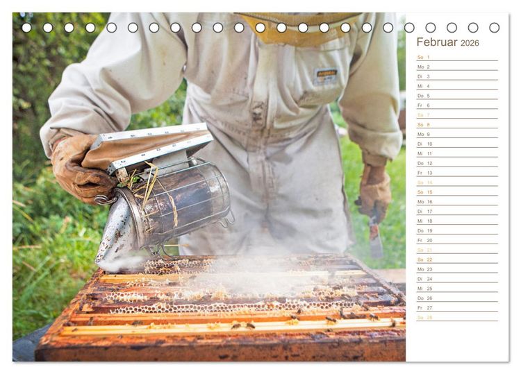 Produktbild: S&uuml;&szlig;es Gold: Imker, Bienen & Honig (Tischkalender 2026 DIN A5 quer), CALVENDO Monatskalender