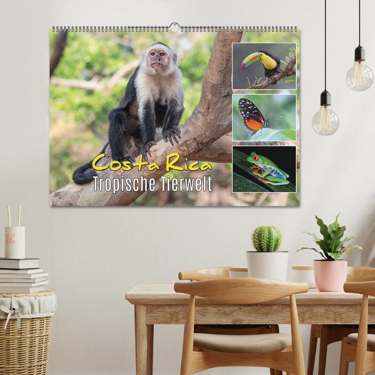 Produktbild: Costa Rica - Tropische Tierwelt (Wandkalender 2026 DIN A2 quer), CALVENDO Monatskalender