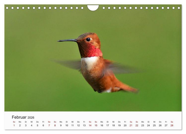 Produktbild: V&ouml;gel - Die K&ouml;nige der L&uuml;fte (Wandkalender 2026 DIN A4 quer), CALVENDO Monatskalender