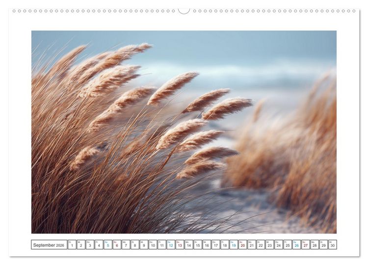 Produktbild: Magie der Jahreszeiten (hochwertiger Premium Wandkalender 2026 DIN A2 quer), Kunstdruck in Hochglanz