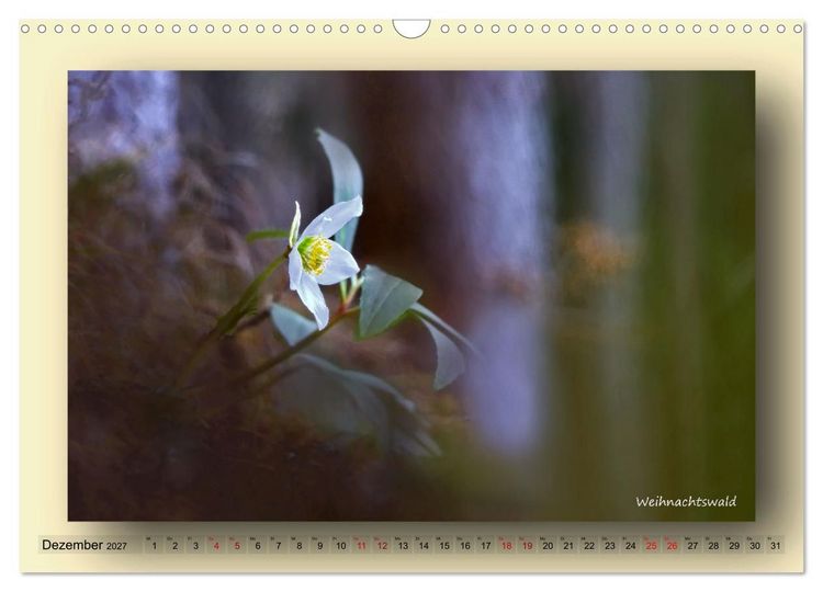 Produktbild: Foto-Art-Natur (Wandkalender 2027 DIN A3 quer), CALVENDO Monatskalender