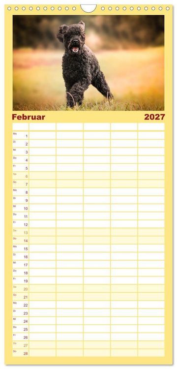 Produktbild: Familienplaner 2027 - Lockenw&ouml;lfe - Energieb&uuml;ndel Pudel mit 5 Spalten (Wandkalender, 21 x 45 cm) CALVENDO