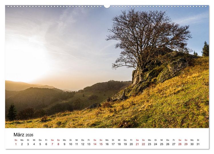 Produktbild: Freiburg, Drumherum (hochwertiger Premium Wandkalender 2026 DIN A2 quer), Kunstdruck in Hochglanz