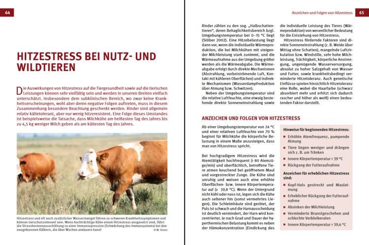 Produktbild: Klimawandel - was nun?