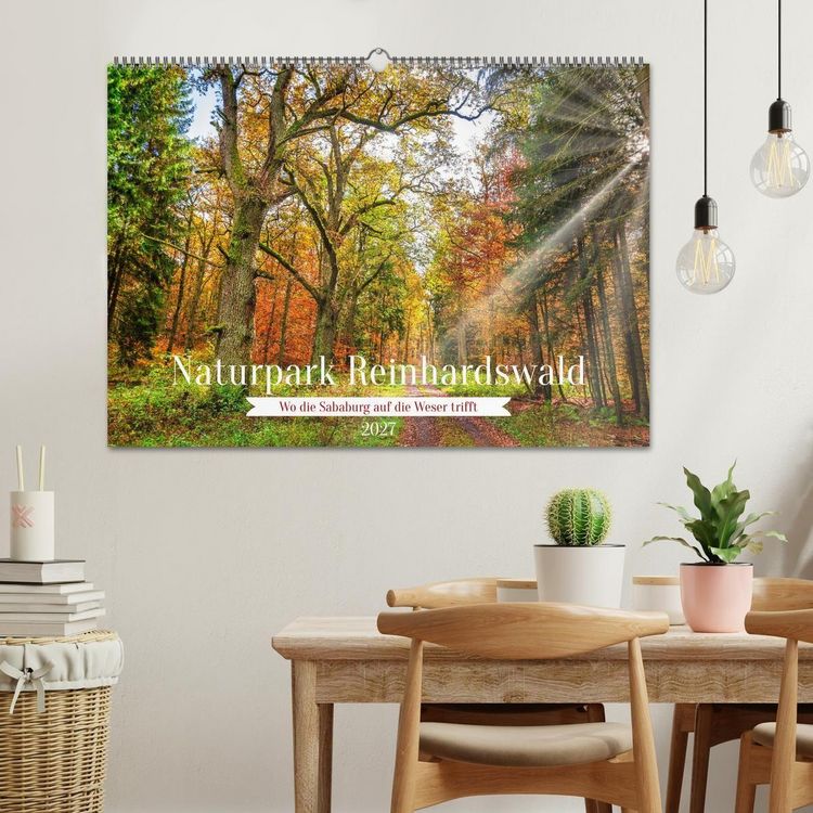 Produktbild: Naturpark Reinhardswald - Wo die Sababurg auf die Weser trifft (Wandkalender 2027 DIN A2 quer), CALVENDO Monatskalender
