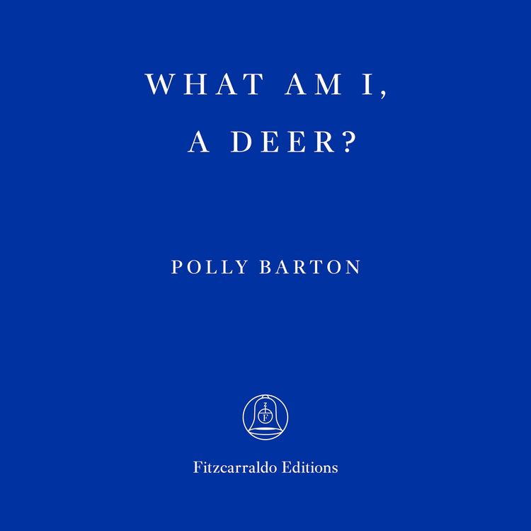 Produktbild: What Am I, A Deer?
