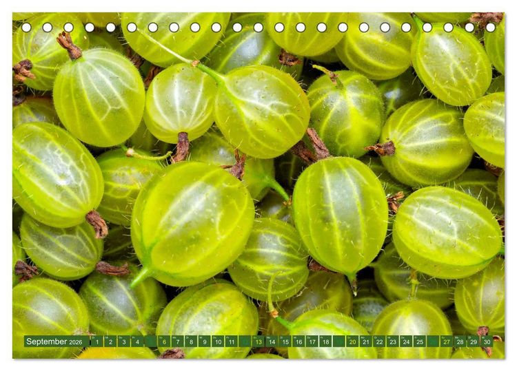 Produktbild: GR&Uuml;N - Gem&uuml;se und Obst - Knackig und Frisch (Tischkalender 2026 DIN A5 quer), CALVENDO Monatskalender