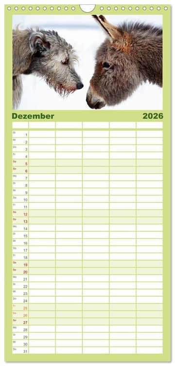 Produktbild: Familienplaner 2026 - Das Esel-Paradies - Hunde und andere Feunde mit 5 Spalten (Wandkalender, 21 x 45 cm) CALVENDO