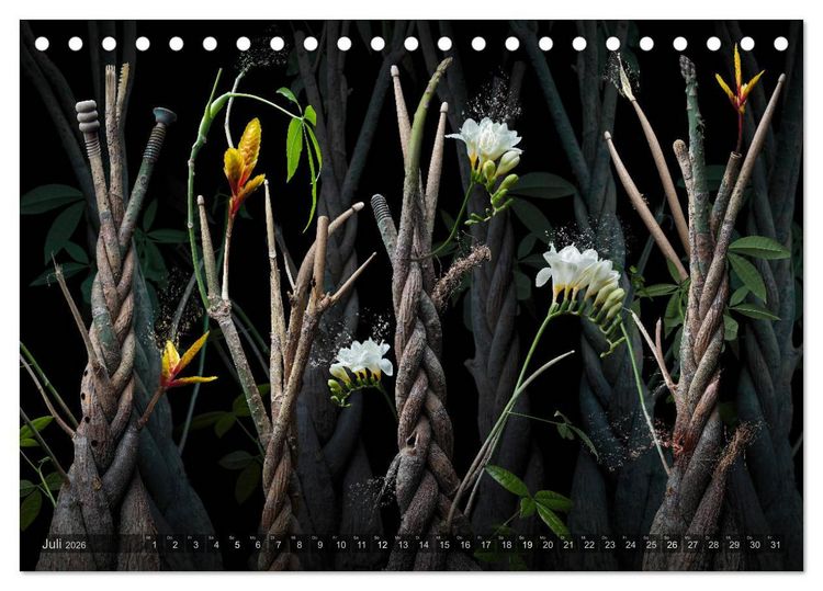 Produktbild: Musica fant&aacute;sia - Die wundersame Welt des Fotok&uuml;nstlers Olaf Bruhn (Tischkalender 2026 DIN A5 quer), CALVENDO Monatskalender
