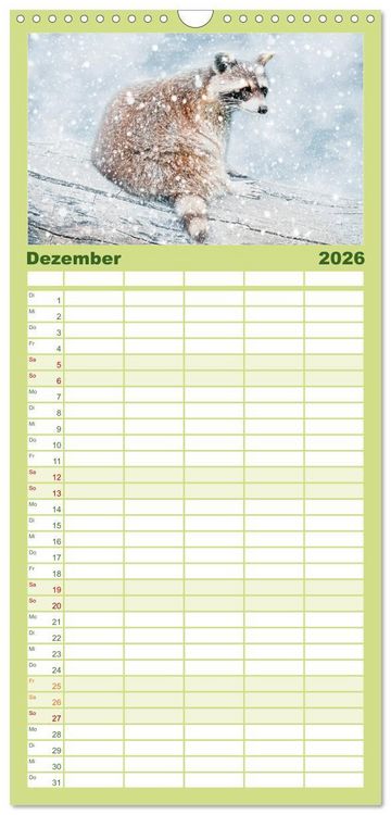 Produktbild: Familienplaner 2026 - Waschb&auml;r - Niedlicher Allesfresser mit 5 Spalten (Wandkalender, 21 x 45 cm) CALVENDO
