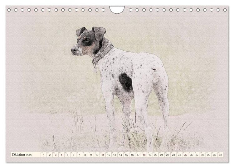 Produktbild: Bodeguero Andaluz 2026 (Wandkalender 2026 DIN A4 quer), CALVENDO Monatskalender