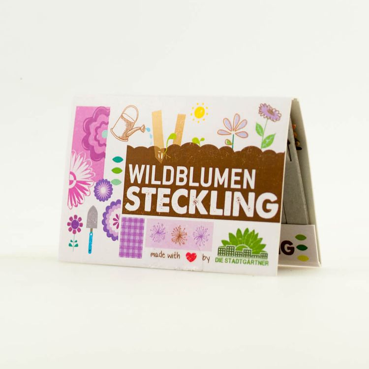 Steckling Wildblumen