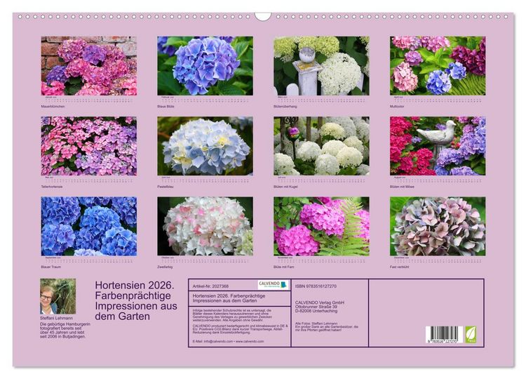 Produktbild: Hortensien 2026. Farbenpr&auml;chtige Impressionen aus dem Garten (Wandkalender 2026 DIN A2 quer), CALVENDO Monatskalender