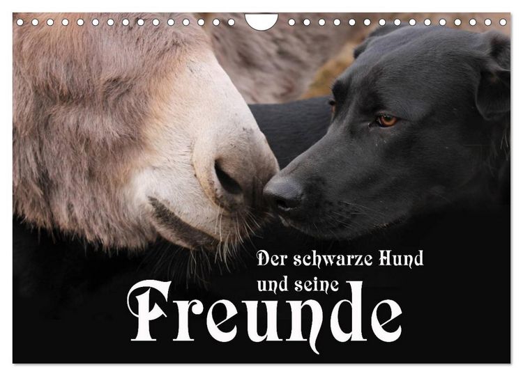 Produktbild: Der schwarze Hund und seine Freunde (Wandkalender 2026 DIN A4 quer), CALVENDO Monatskalender