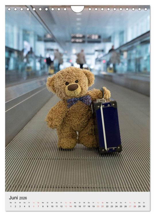 Produktbild: Travelling Teddy liebt es Bunt (Wandkalender 2026 DIN A4 hoch), CALVENDO Monatskalender