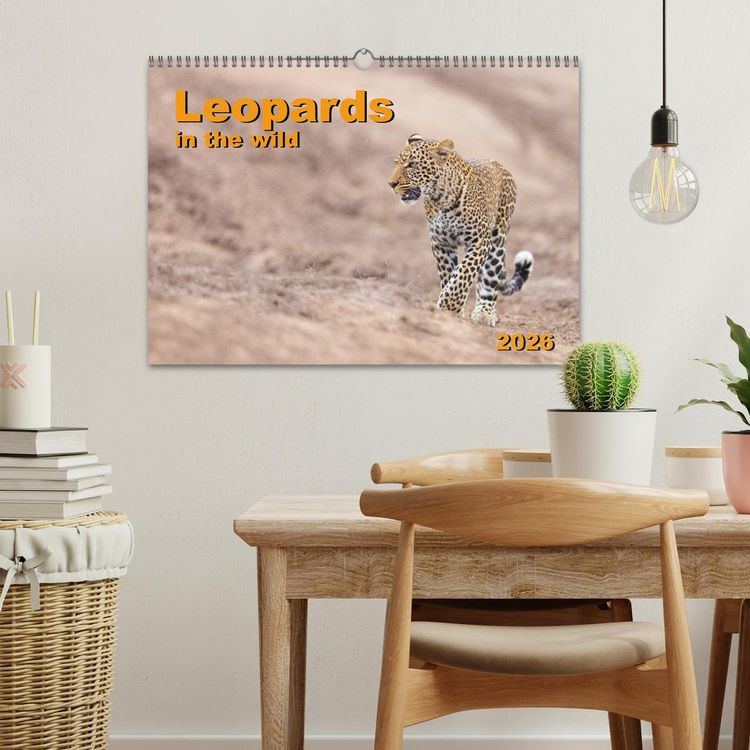 Produktbild: Leopards in the wild (Wall Calendar 2026 DIN A3 landscape), CALVENDO 12 Month Wall Calendar