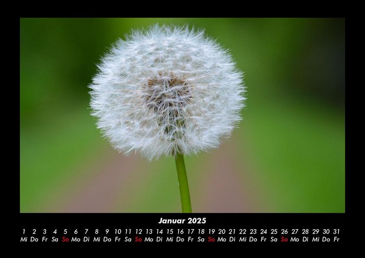 Produktbild: Naturlandschaften 2025 Fotokalender DIN A3