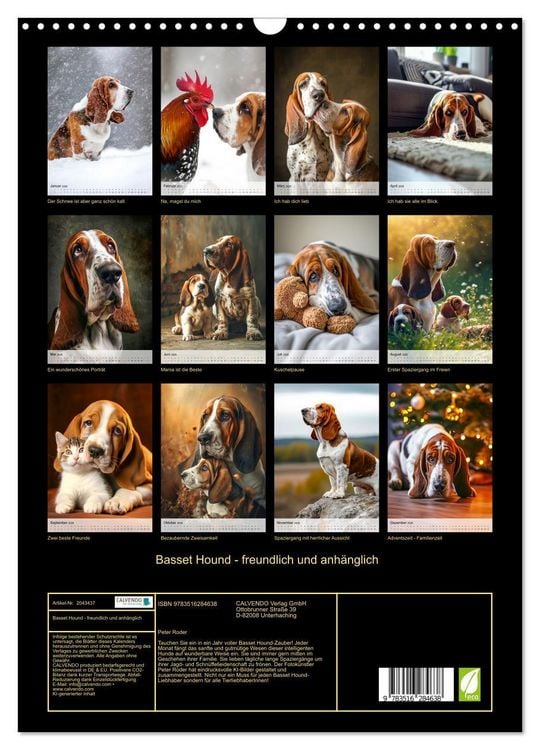 Produktbild: Basset Hound - freundlich und anh&auml;nglich (Wandkalender 2026 DIN A3 hoch), CALVENDO Monatskalender
