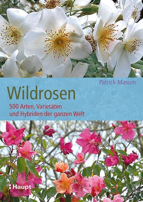 Produktbild: Wildrosen