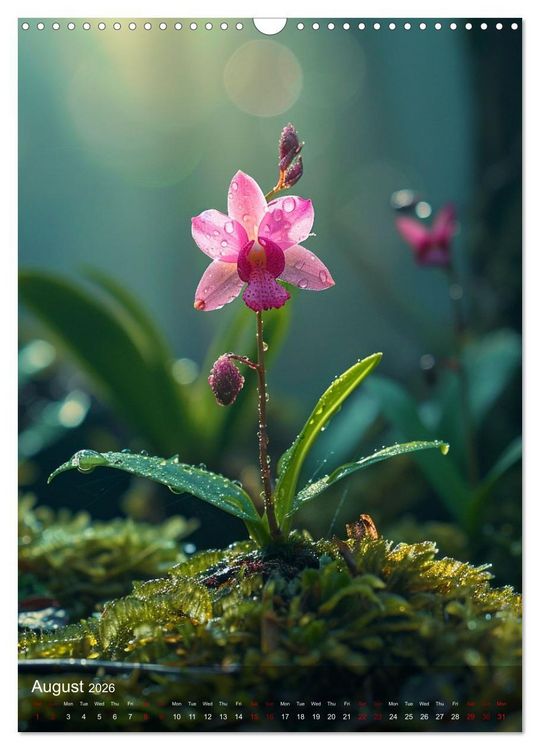 Produktbild: Waurick, K: Ethereal Orchids (Wall Calendar 2026 DIN A3 port